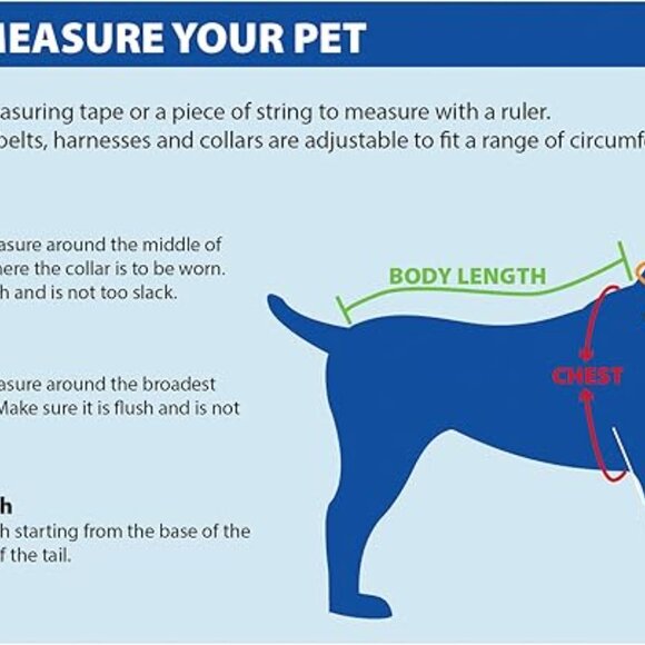 NEW Pets First Philadelphia Eagles Reversible NFL Dog Collar Size Medium - Picture 7 of 7